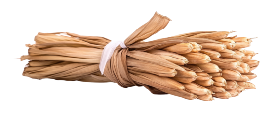 Bundle of dried grass tied with a ribbon. transparent background