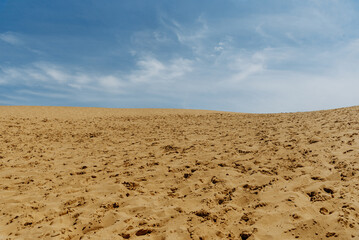 Desert landscape, sandy orange dunes, sunny wilderness