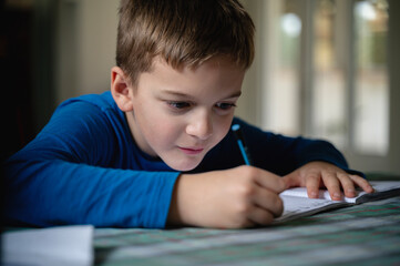 Elementary school caucasian  boy studying at home