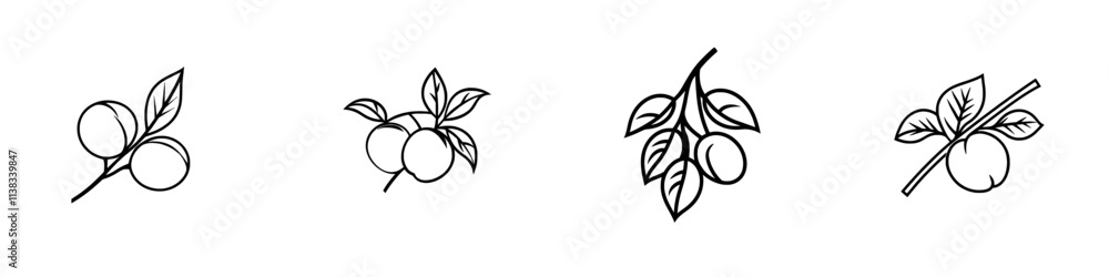 Poster a black and white sketch of a peach with leaves, rendered in an intricate engraving style, created u