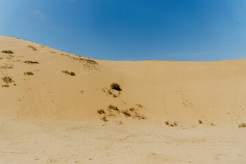 Desert landscape, sandy orange dunes, sunny wilderness