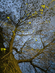 Edinburgh, Scotland, United Kingdom