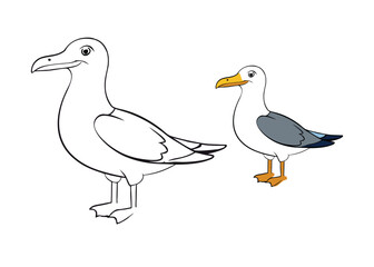Obraz premium A California Gull coloring page features a graceful seabird with a white body, gray wings, yellow beak, and black markings on the tail, perfect for coloring with coastal vibes.