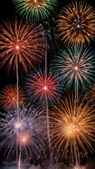 fireworks in the night sky