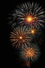 fireworks in the night sky