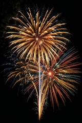 fireworks in the night sky