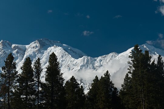View of Nanga Parbat 8,125 meters high and Ganalo Peak 6,606 meters high from Fairy Meadows. Rakhiot Valley. Himalayas. Gilgit-Baltistan region. Pakistan. Asia.