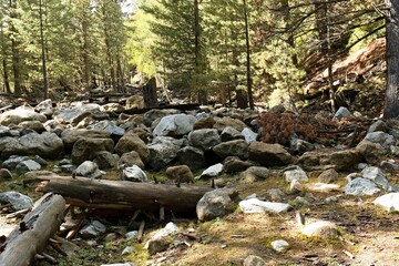 Nature in Fairy Meadows National Park. Rakhiot Valley. Himalayas mountains. Gilgit-Baltistan region. Pakistan. Asia.