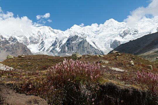 View of Chongra peaks from Nanga Parbat Base Camp. Rakhiot valley. The Himalayan Mountains. Gilgit-Baltistan region. Pakistan. Asia.