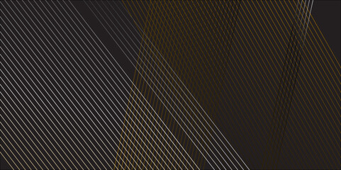 Black and white abstract stripes line background for backdrop or presentation. Abstract vector high tech parallel wave line elegant black striped diagonal line technology concept web texture. 