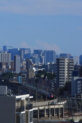 Fototapeta premium 東京のビル群を背景に高架橋を走るE6系新幹線_2022/9/10撮影