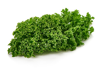 Obraz premium Fresh curly kale leaf, isolated on white background.