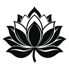 lotus flower vector
