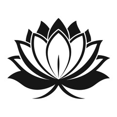 lotus flower vector
