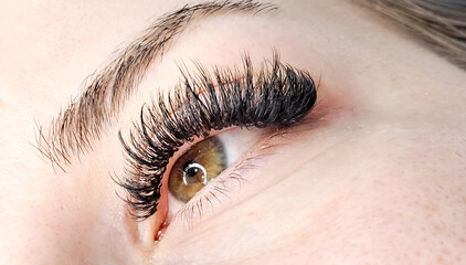 Close up of eye with eyelash extensions ,beauty salon treatment