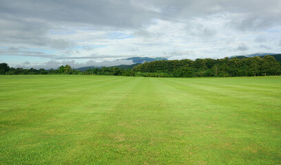 Landscape of green grass field and sky with Mountain