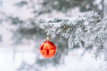 Red glasses bauble on christmas tree with snow outdoor.