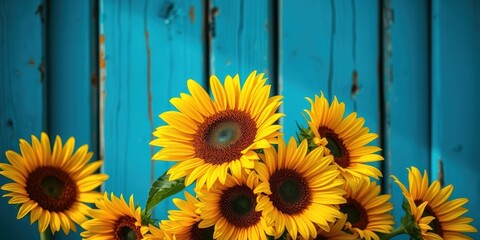 A vibrant bouquet of sunflowers standing proudly against a weathered turquoise wooden backdrop