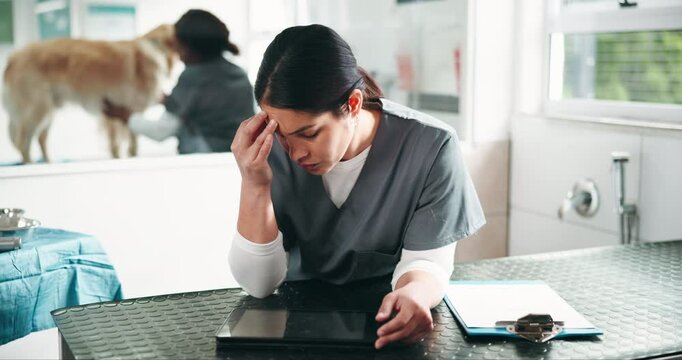 Woman, veterinarian and headache with stress at clinic on tablet, review and exhausted at workplace. Person, doctor and migraine with burnout, tired and fatigue with touchscreen at animal hospital