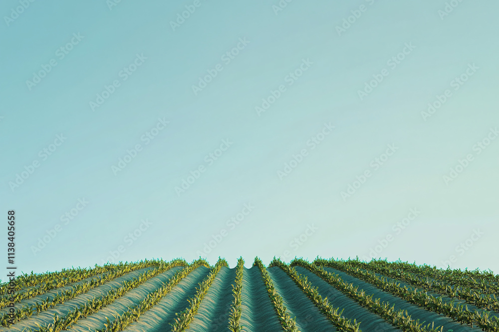 Aufkleber a minimalistic view of a lush green field with neatly arranged rows under a clear blue sky creating 