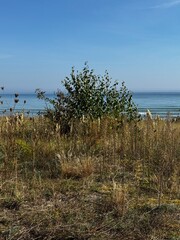 Kap Arkona - Insel Rügen