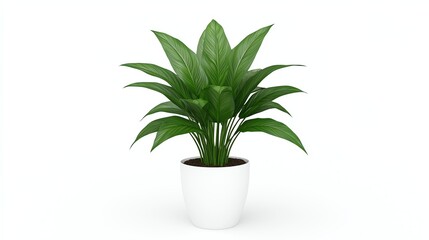A vibrant green houseplant in a simple white pot, adding a touch of nature and elegance to interior decor.