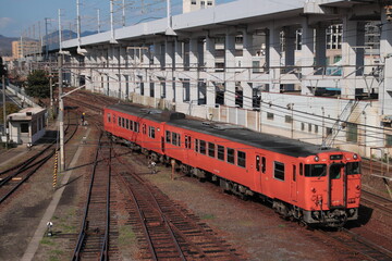 Fototapeta premium 岡山気動車区を出区するキハ47系気動車_2023/3/19撮影