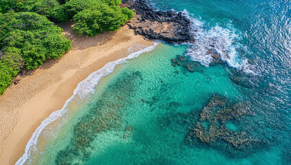 Aerial view of a sand beach with clear water and people playing on the shore