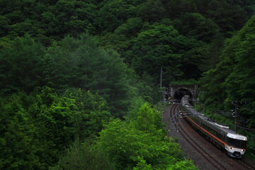  新緑の中央西線を駆け抜ける383系特急ワイドビューしなの_2023/7/1撮影
