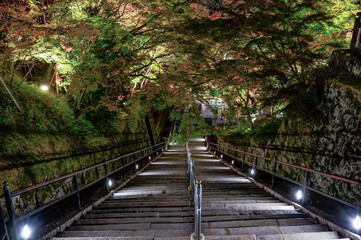 ライトアップされた階段