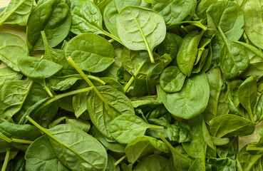 Fresh spinach leaves are spread out, creating a vibrant green backdrop, healthy eating or culinary concepts