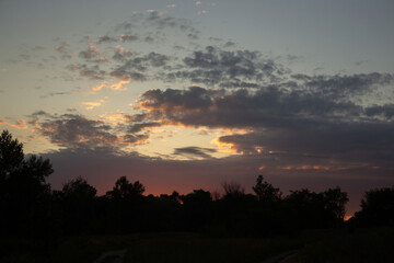 a field of wild flowers with a blurry background.
