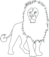 lion vector illustration