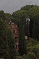 Obraz premium Close Up of Mediterranean Ruins Hidden in the Forest