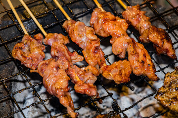 Grilled chicken wings and shish kebab on the barbecue with smoke and fire