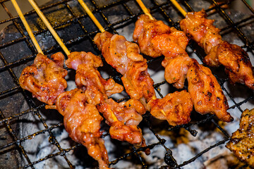 Grilled chicken wings and shish kebab on the barbecue with smoke and fire