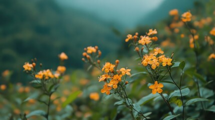 Obraz premium Golden blooms surrounded by lush greenery in a serene mountain landscape creating a soft, dreamy atmosphere of nature's beauty.