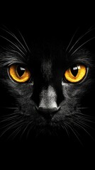 Close-Up Portrait of a Black Cat with Striking Orange Eyes Against a Dark Background Capturing the Mysterious Beauty of Feline Creatures