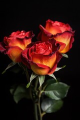 Fototapeta premium A bouquet of red roses placed on a table, perfect for romantic occasions or as a decorative centerpiece
