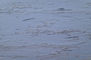 Ice on the surface of the pond.
