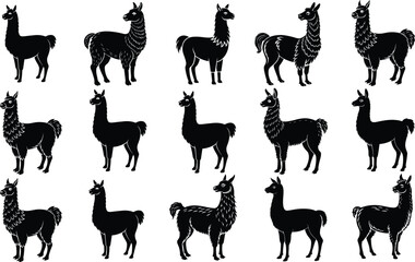 Naklejka premium Set Of Llama Silhouette Vector Illustration