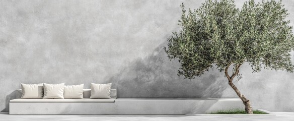 Minimalist Concrete Bench with Olive Tree and Cushions