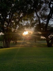 Obraz premium sun set nature beauty