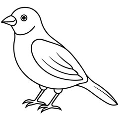 Obraz premium A cute bird vector art line for coloring pages