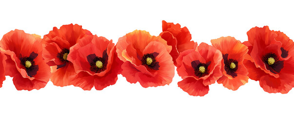 Fototapeta premium Transparent PNG Image of red poppies for Remembrance Day