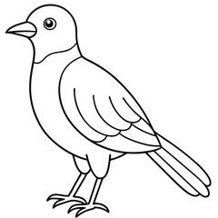 Fototapeta premium A cute bird vector art line for coloring pages