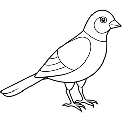 A cute bird vector art line for coloring pages