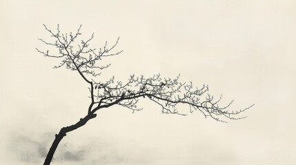 Obraz premium Silhouette of a bare tree branch against a light beige sky.