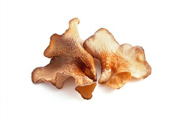 Fototapeta premium A collection of dried mushrooms arranged neatly on a white surface