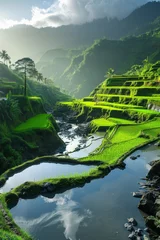 Draagtas Sunlit terraced rice fields on the slopes of mountains, shimmering under the sunlight © Tetiana Kasatkina
